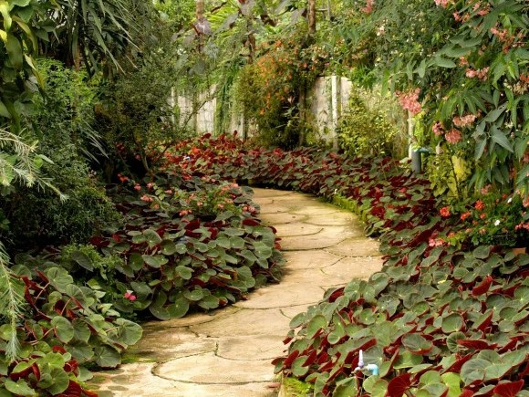 Trendovi u upotrebi granuliranih materijala za uređenje dvorišta