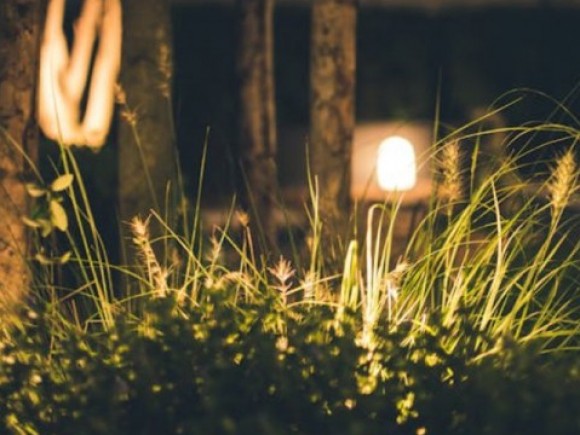 Kako večernje osvetljenje može promeniti izgled bašte