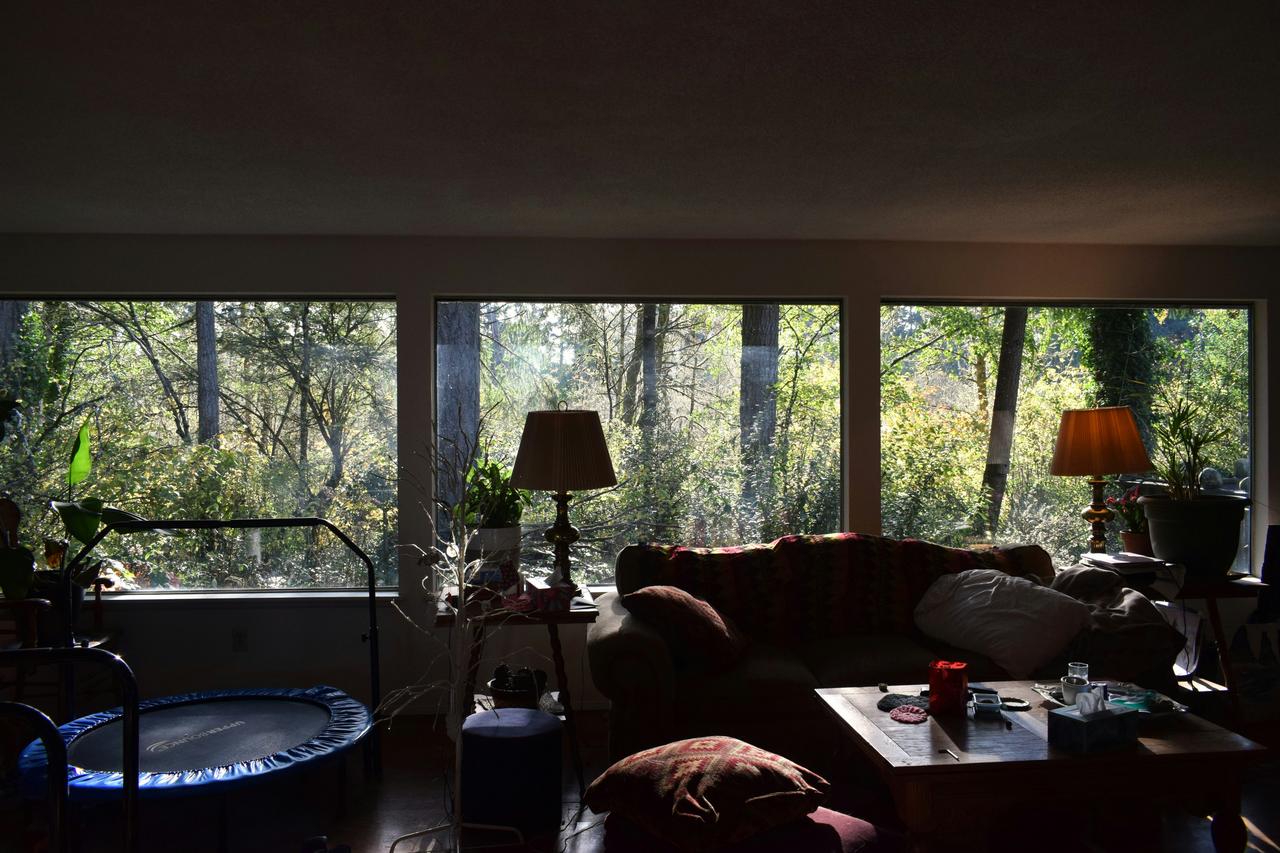 Dnevna soba sa velikim prozorima koji pružaju pogled na šumu, kauč i sto u polusenci
